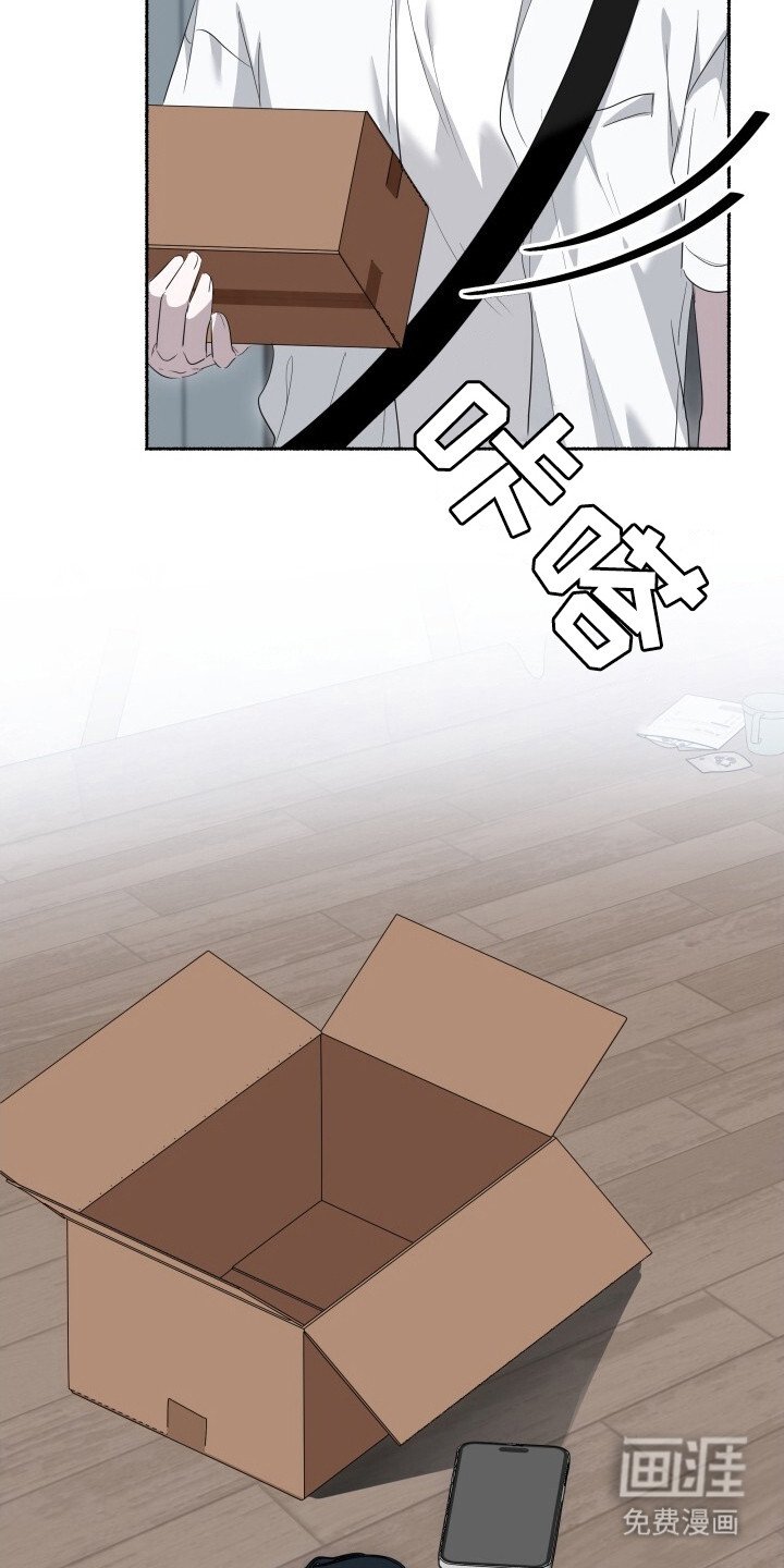 第22章：专用手机
