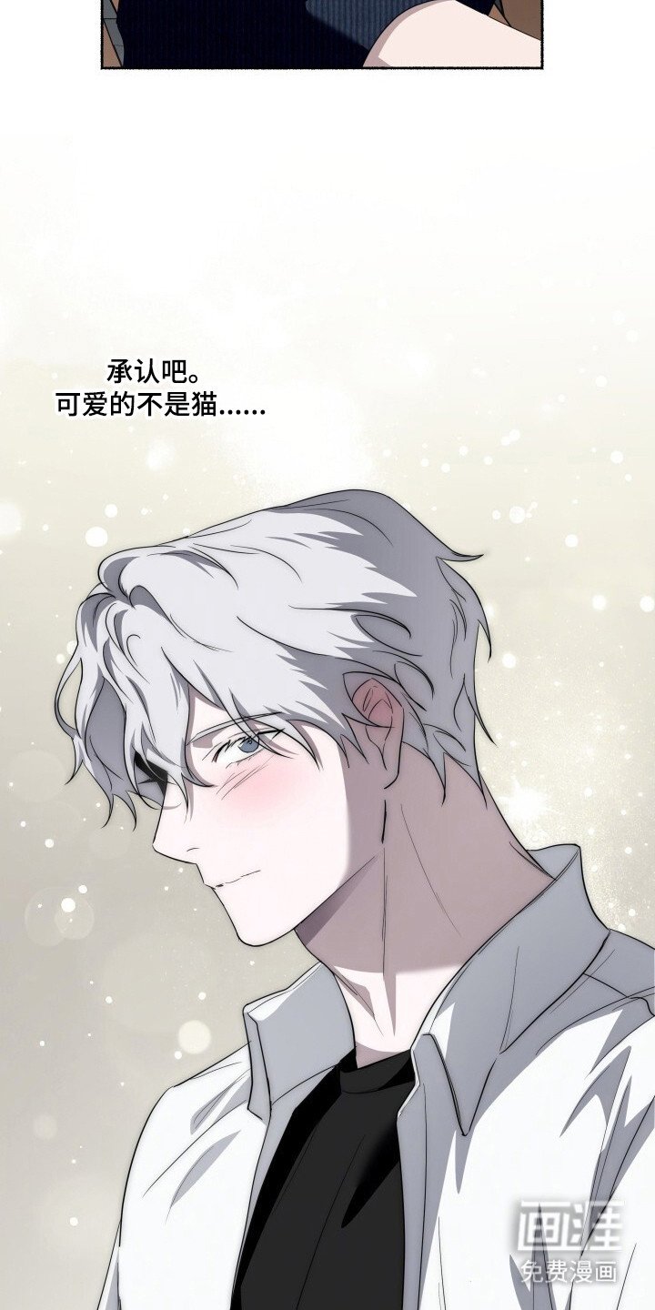 第24章：像你一样可爱