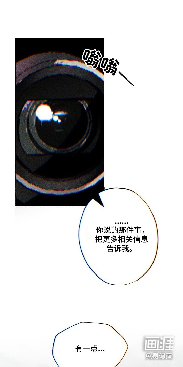 第25章：机密视频