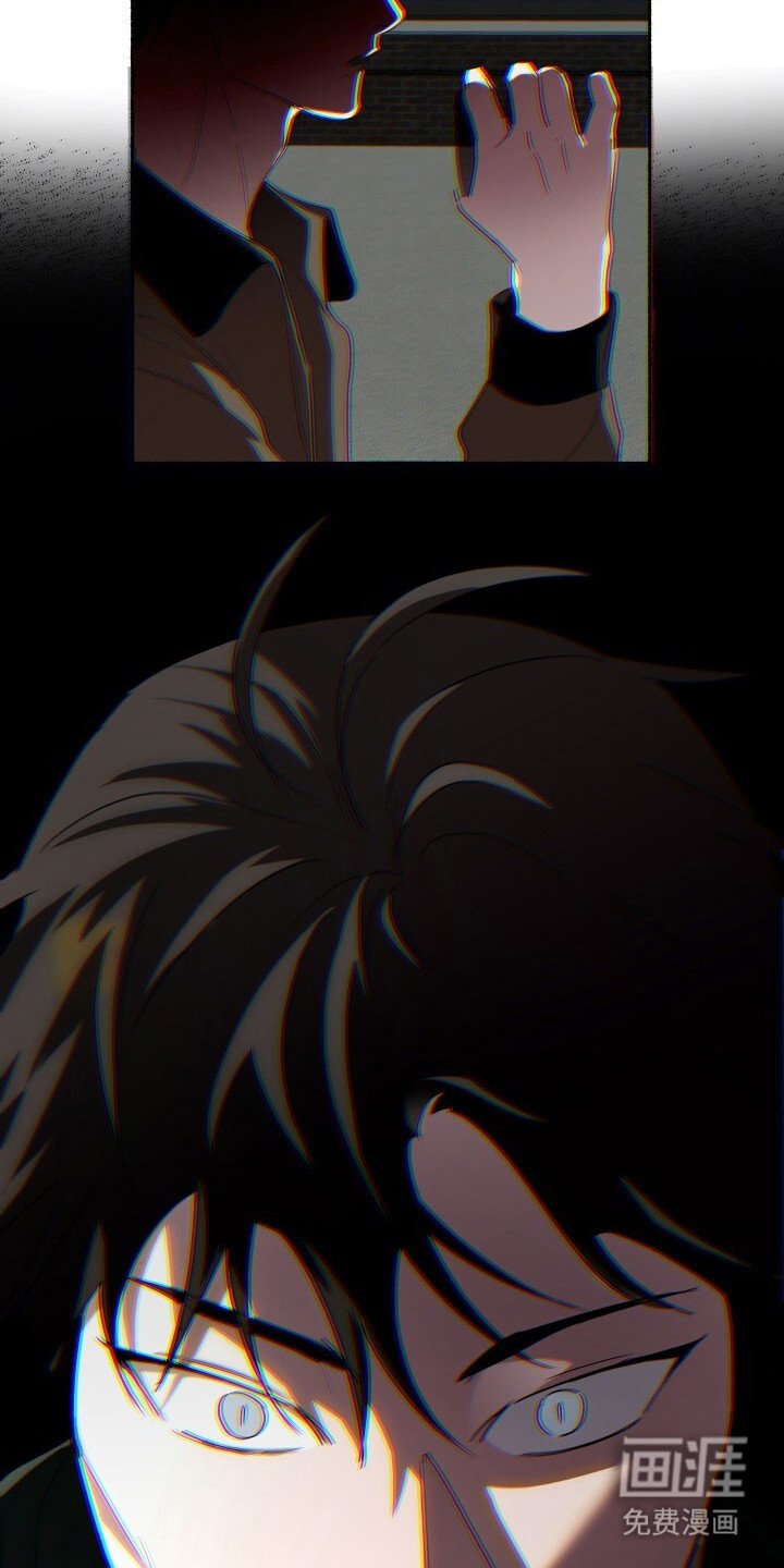 第25章：机密视频