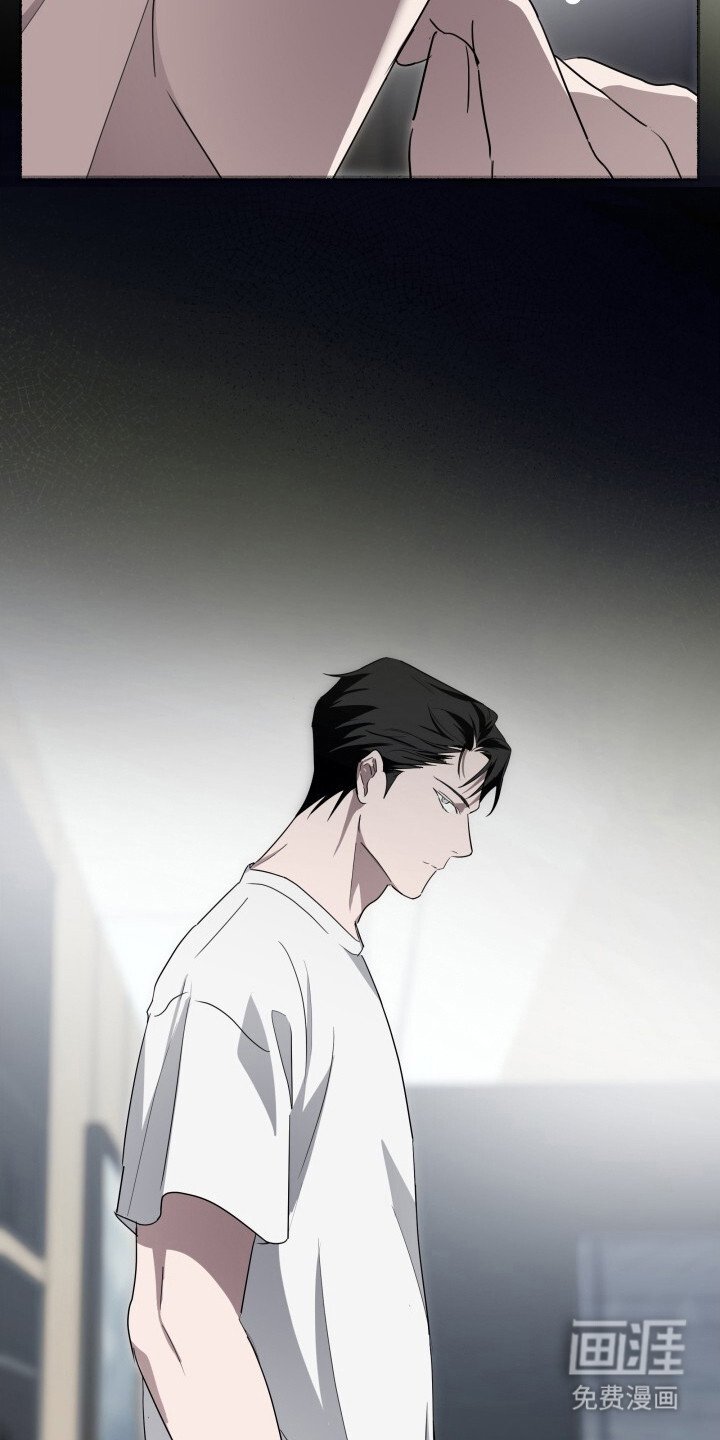 第25章：机密视频