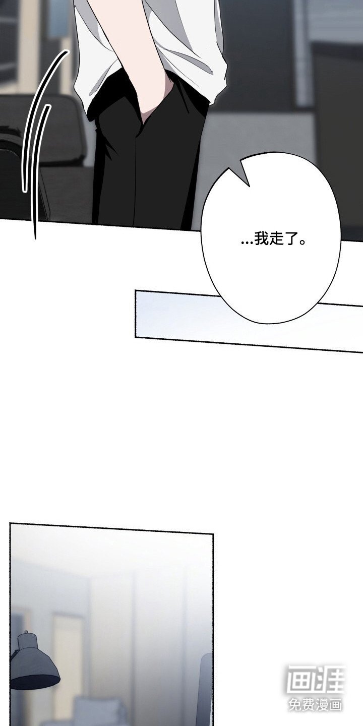 第25章：机密视频