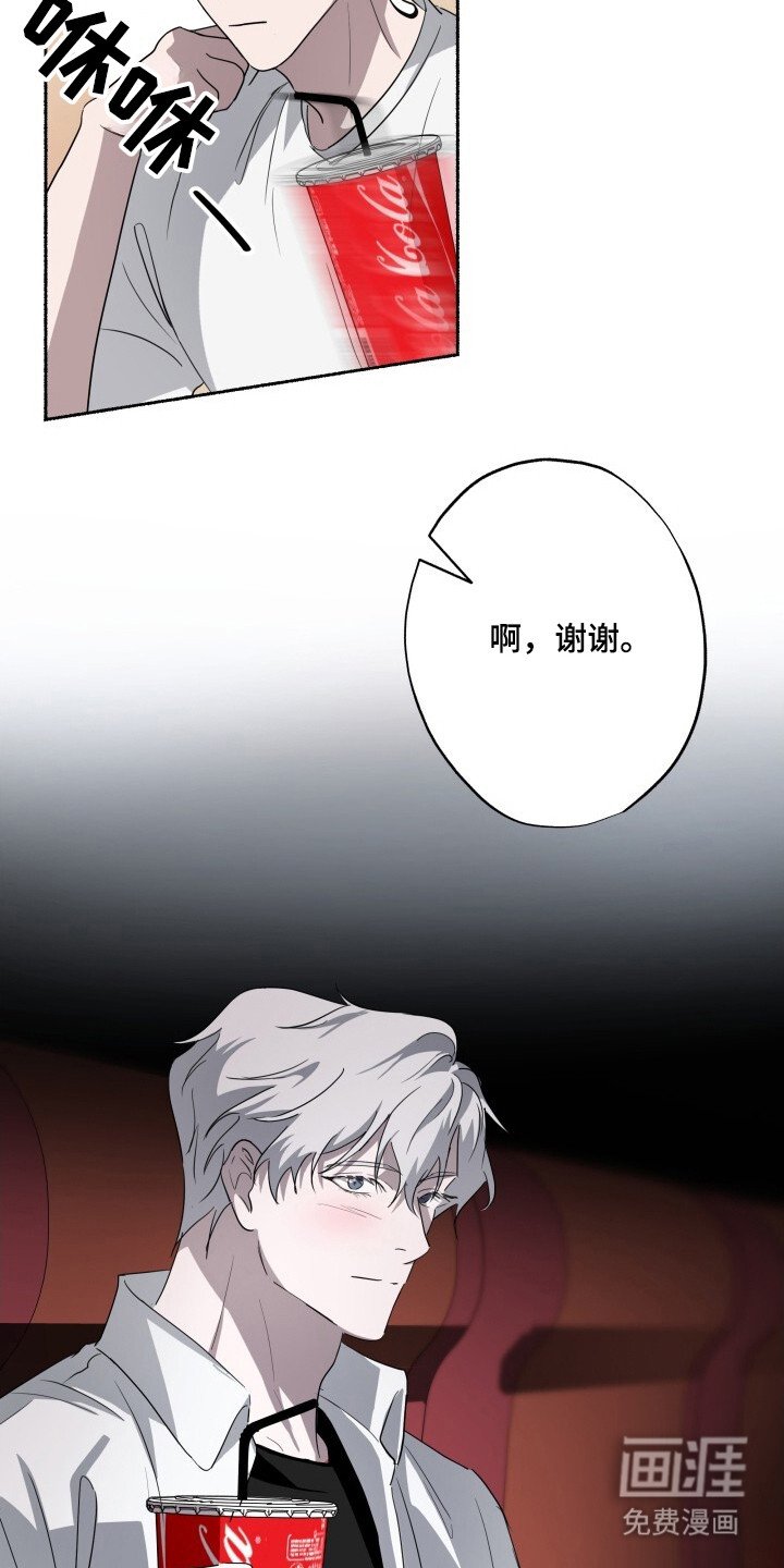 第25章：机密视频