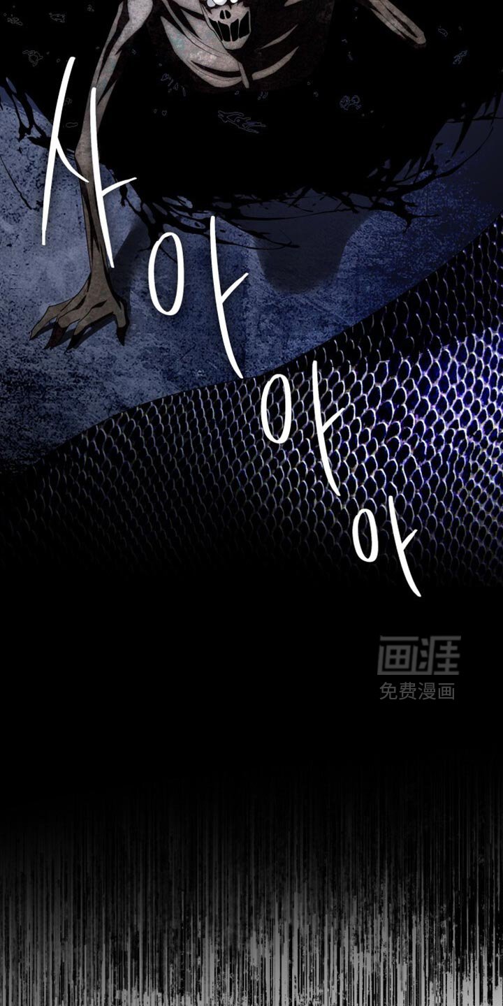 第29章：危险！