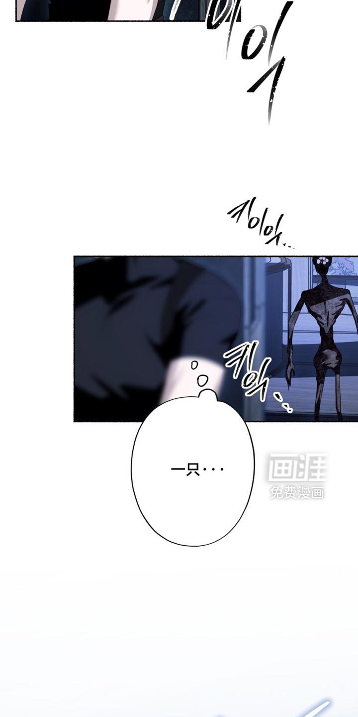 第29章：危险！