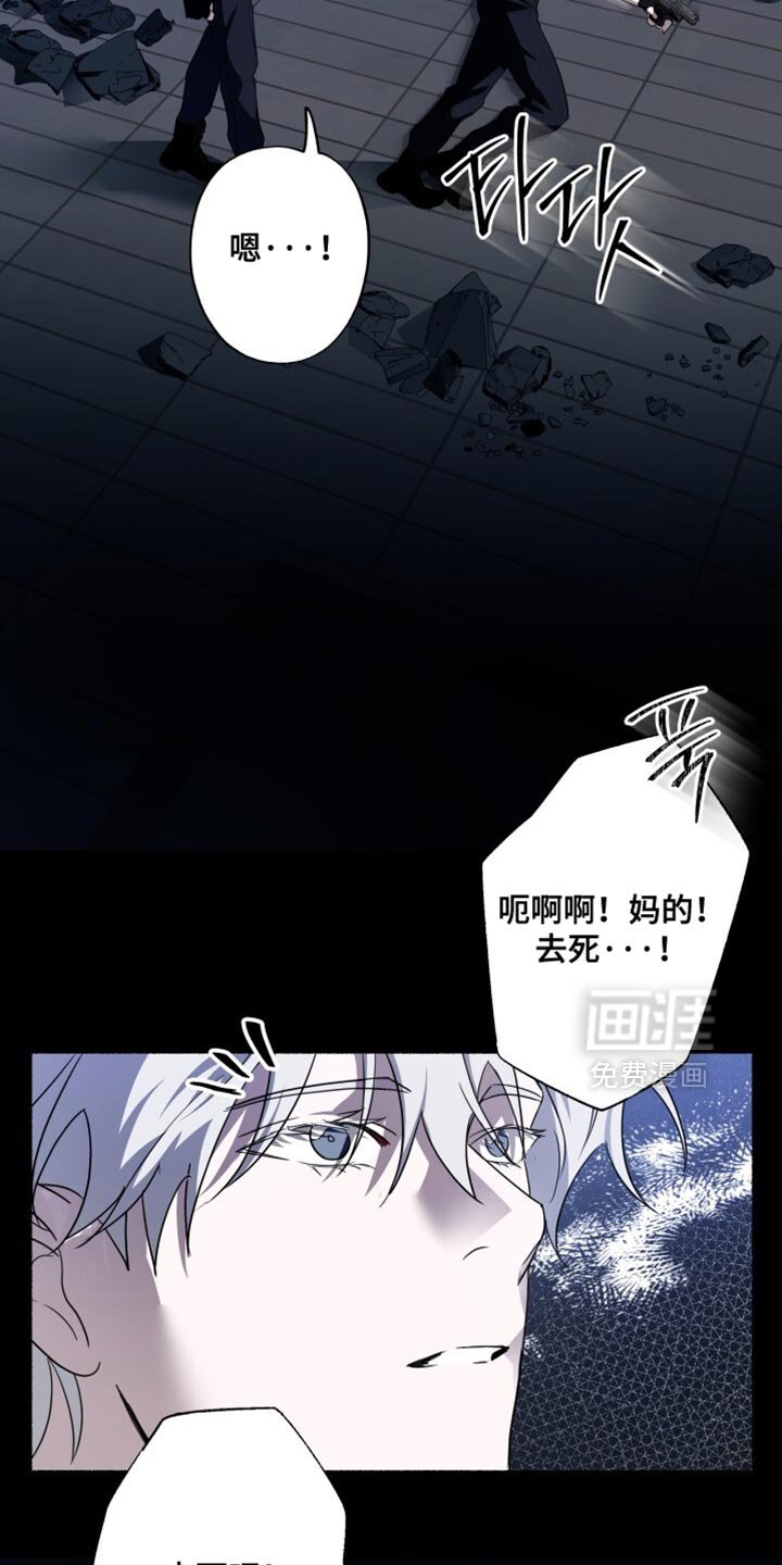 第29章：危险！