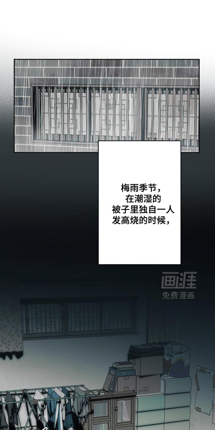 第40章：我讨厌受伤
