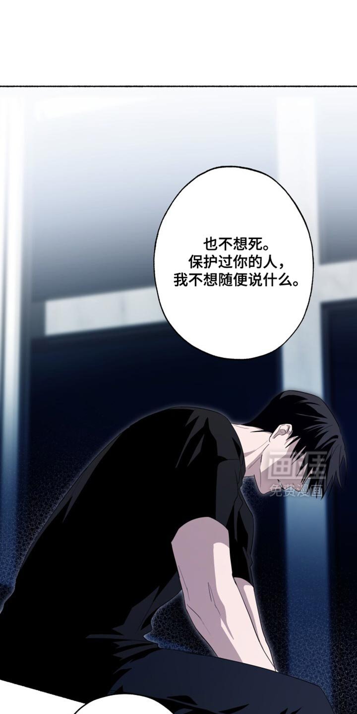 第41章：现在看