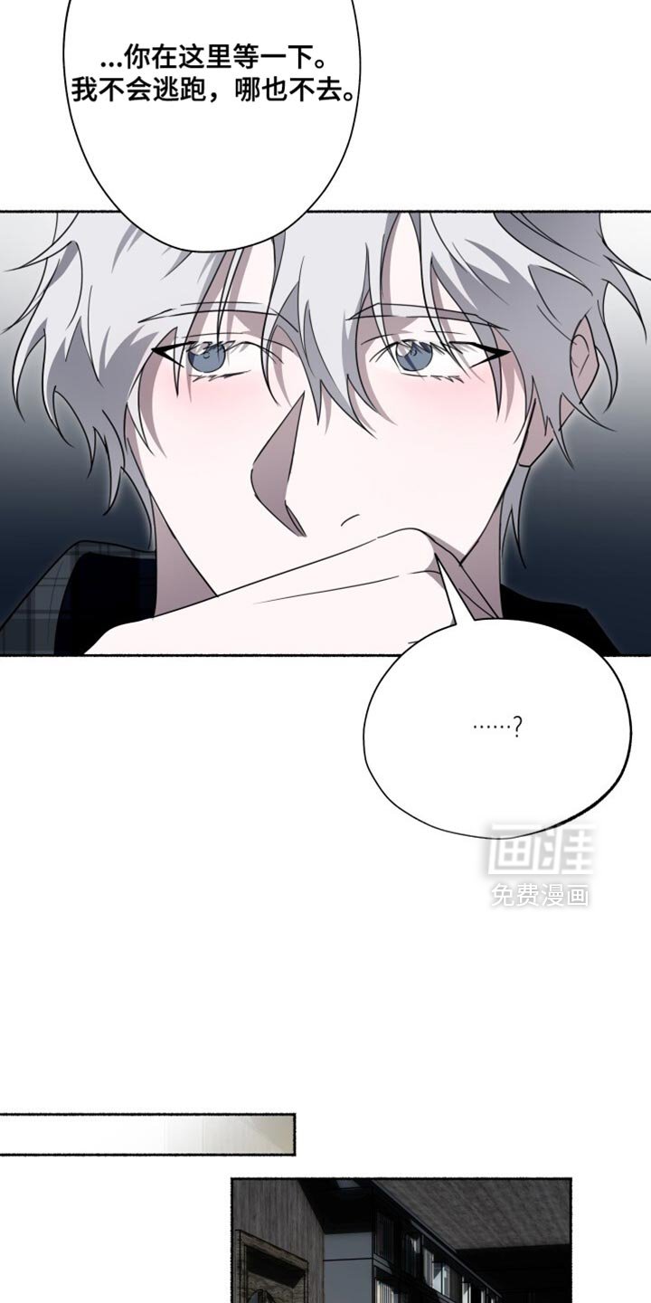 第41章：现在看