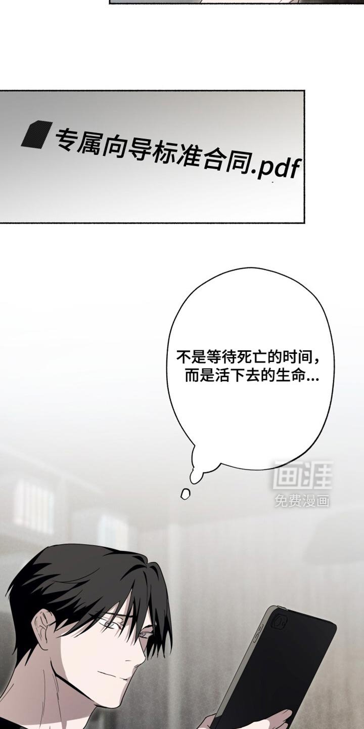第41章：现在看