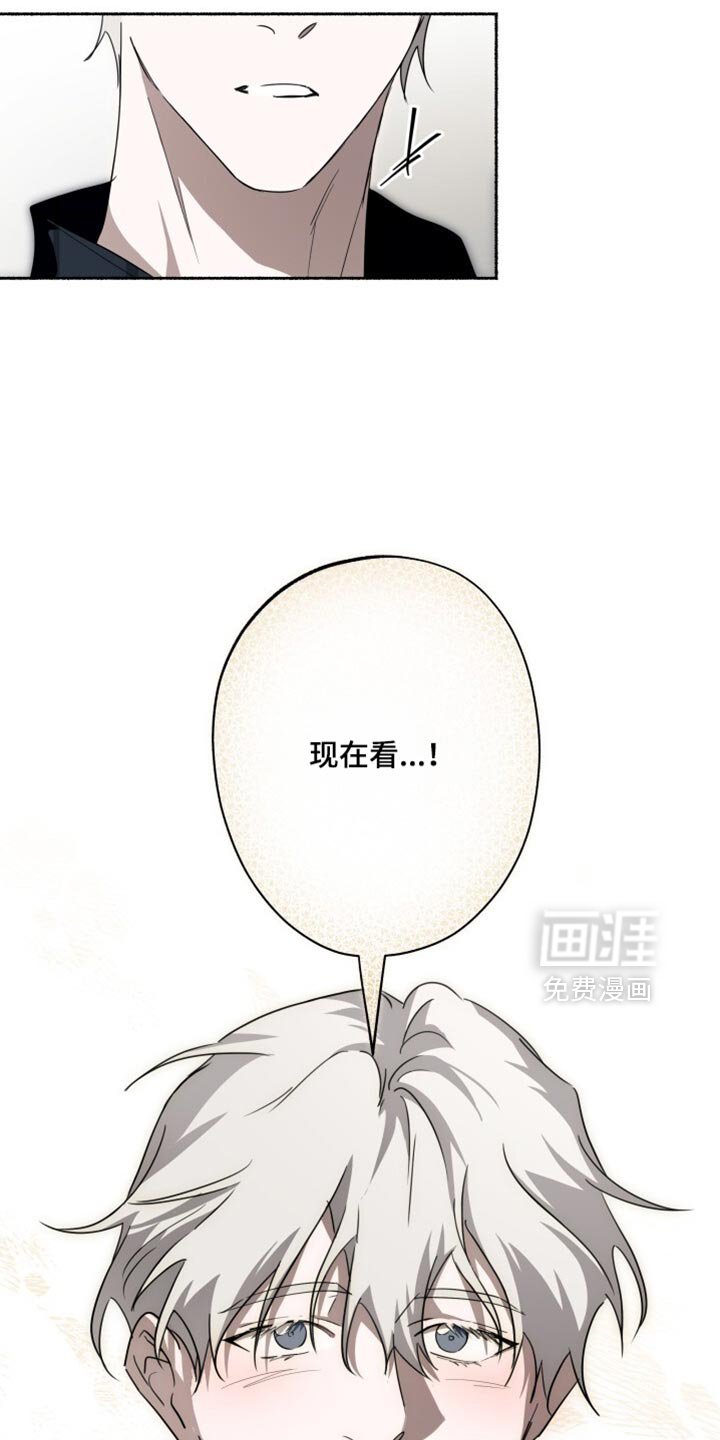 第41章：现在看