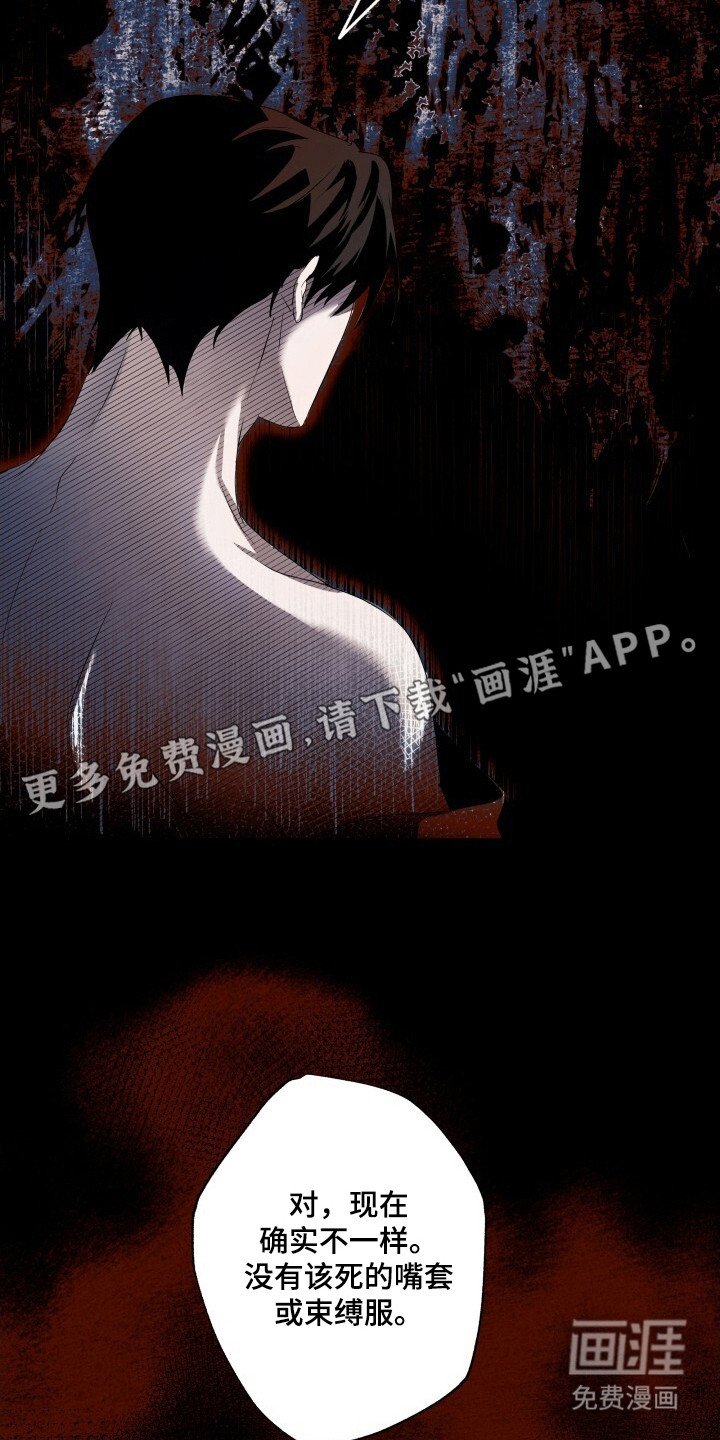 第7章：纠结