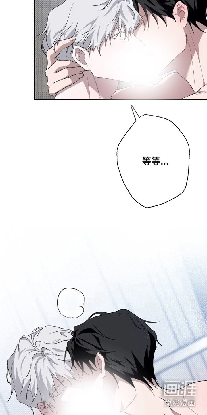 第9章：引导