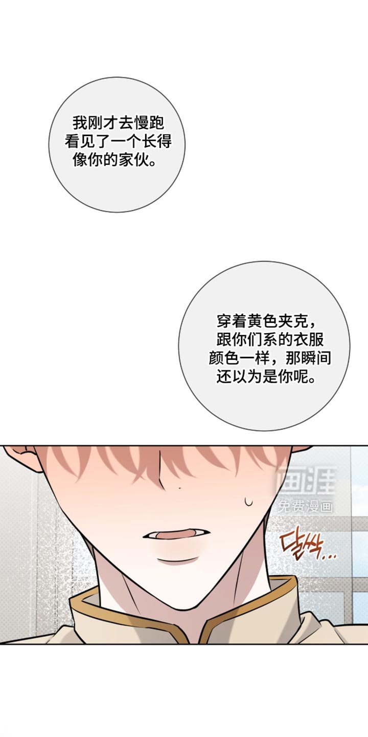 第100章：单纯的偶发事件