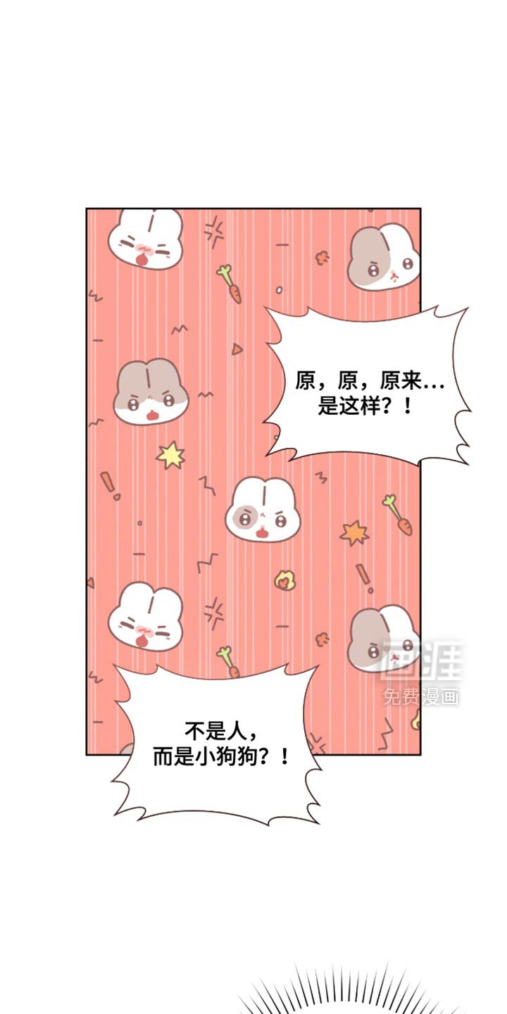 第100章：单纯的偶发事件