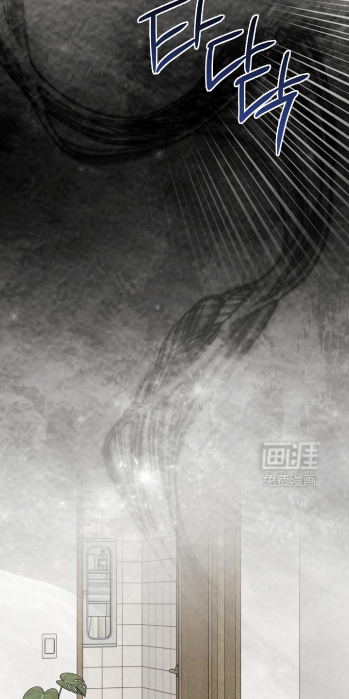 第100章：单纯的偶发事件