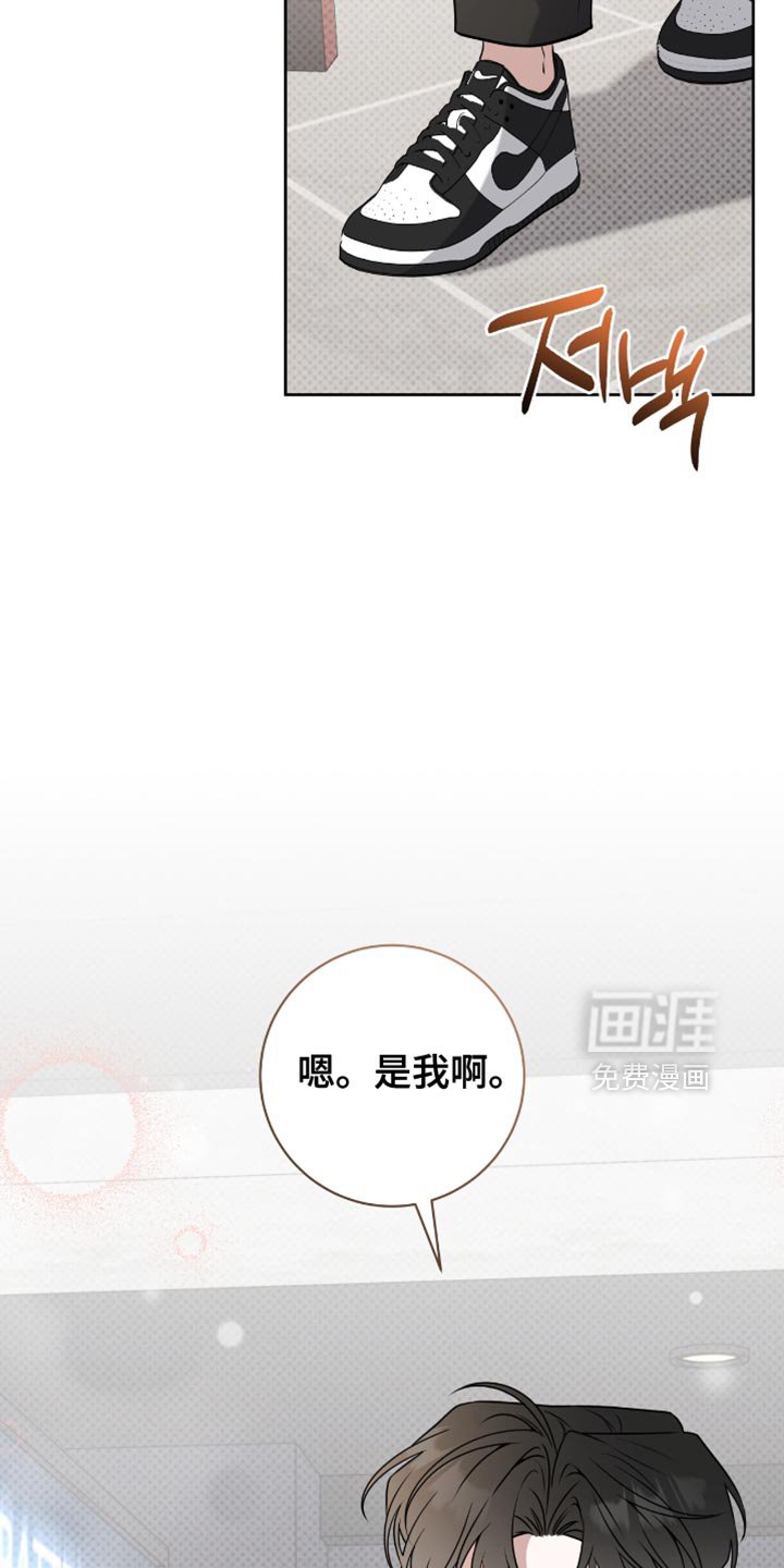 第110章：可以说实话