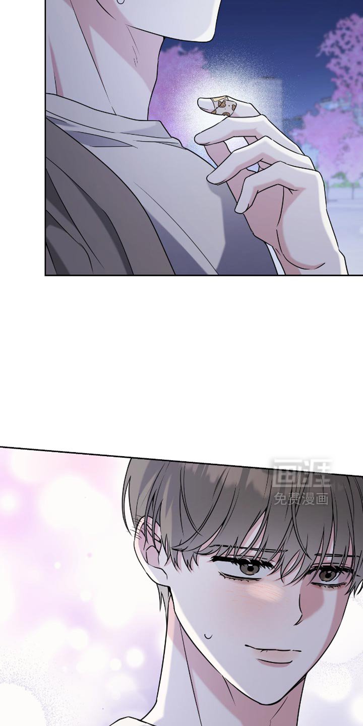 第23章：浪漫