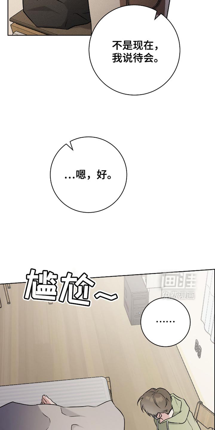 第41章：理想型