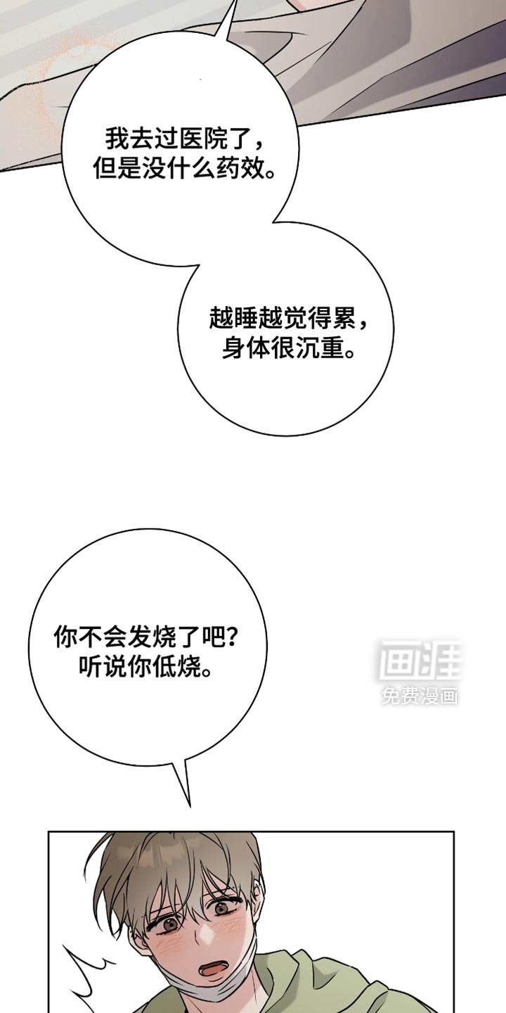第41章：理想型