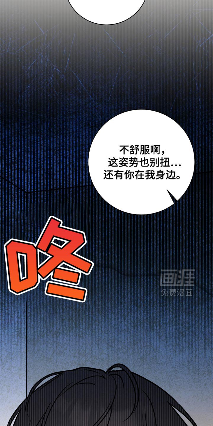第41章：理想型
