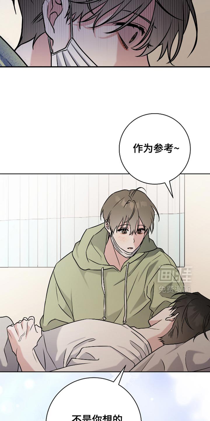 第41章：理想型