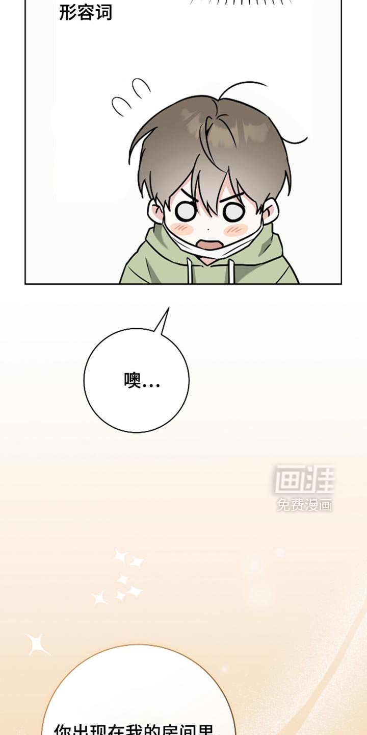 第41章：理想型
