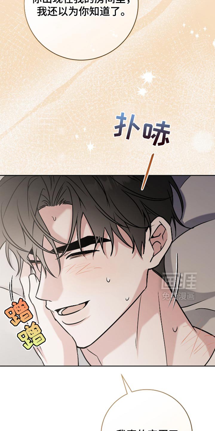 第41章：理想型