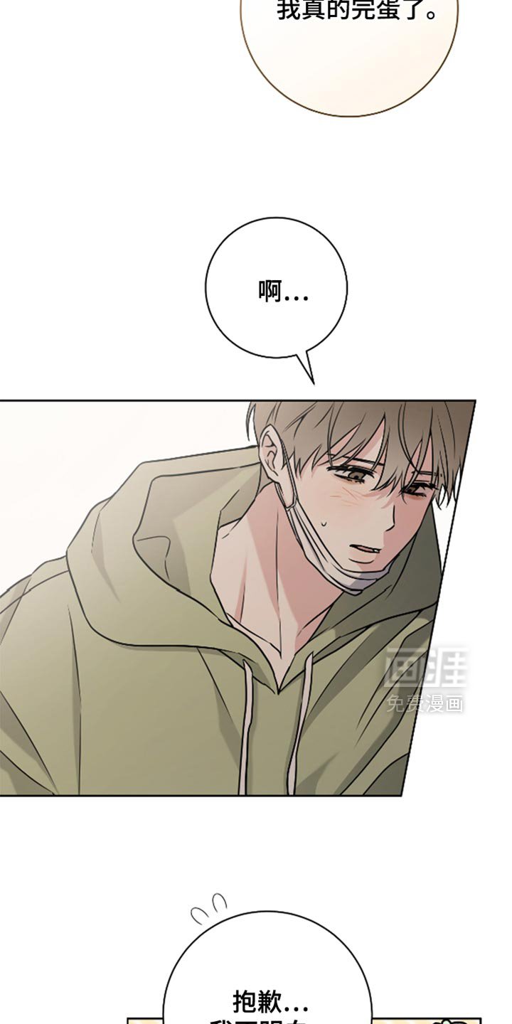 第41章：理想型