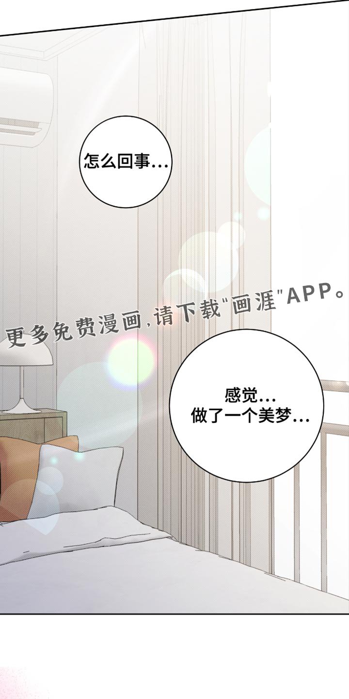第62章：做了一个美梦