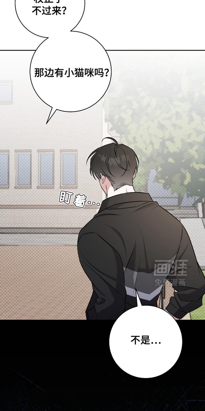 第71章：太痛苦了