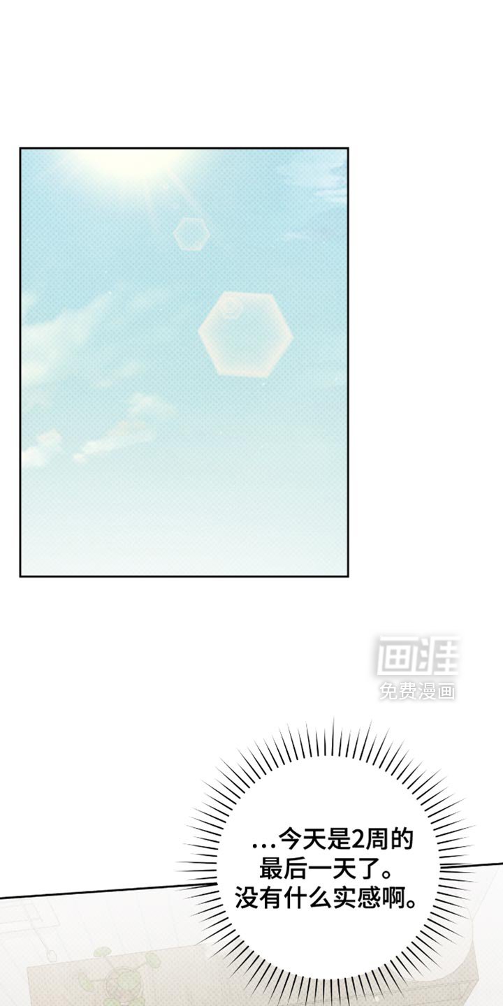 第73章：只要不被发现
