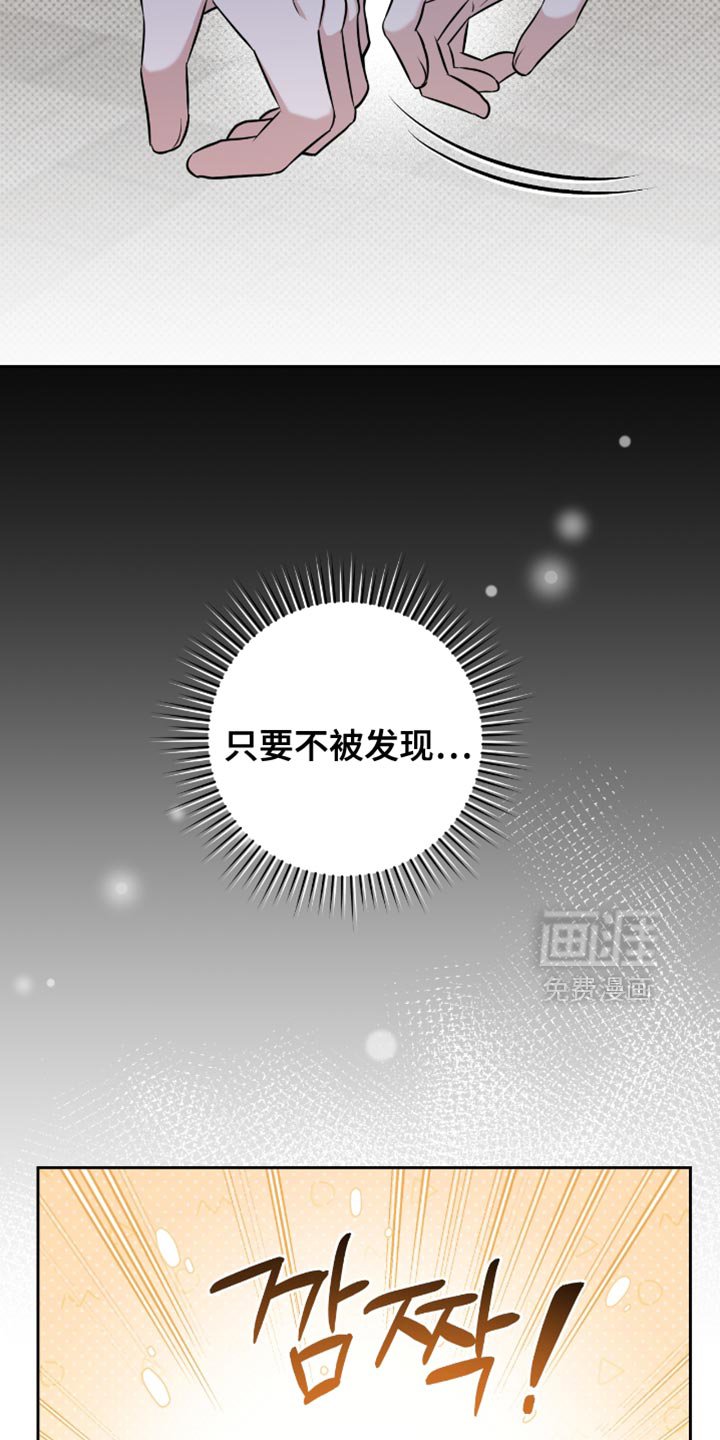 第73章：只要不被发现