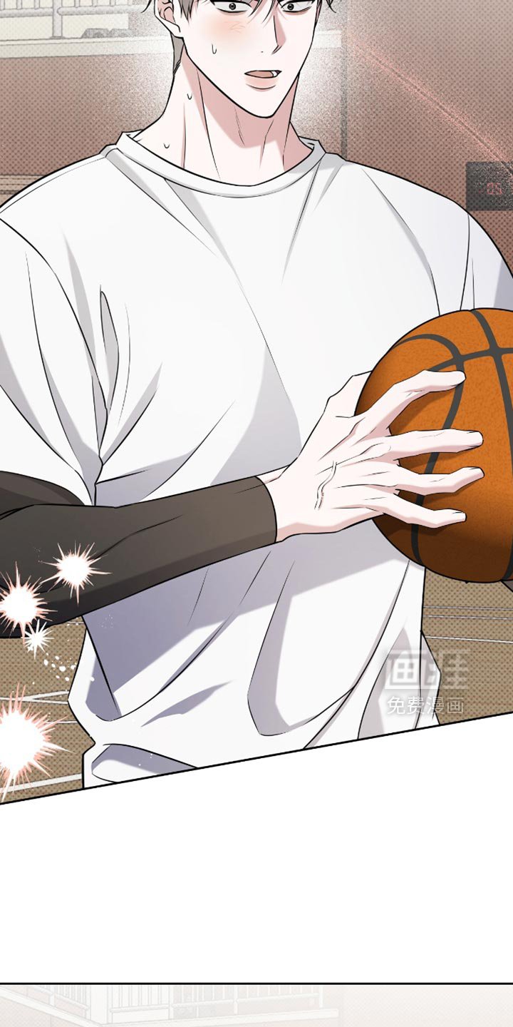 第74章：答复