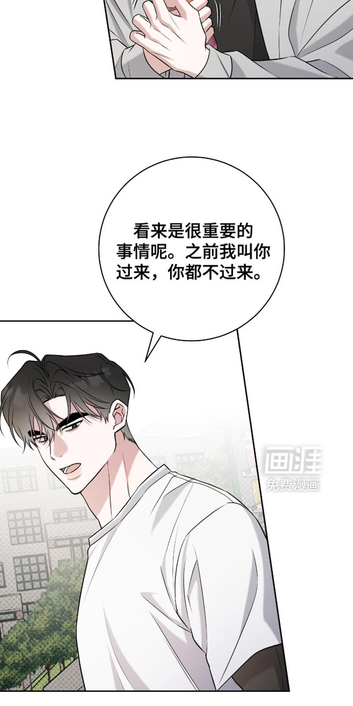 第74章：答复