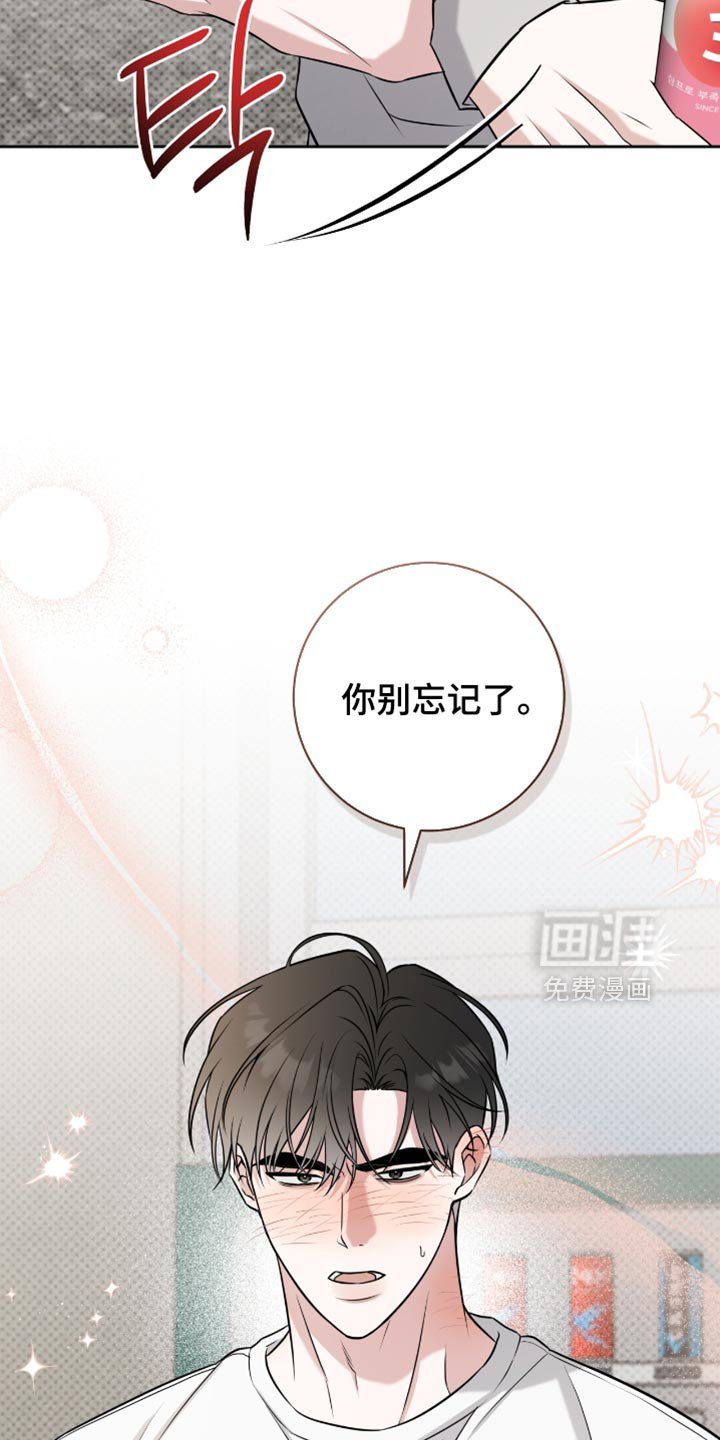 第74章：答复