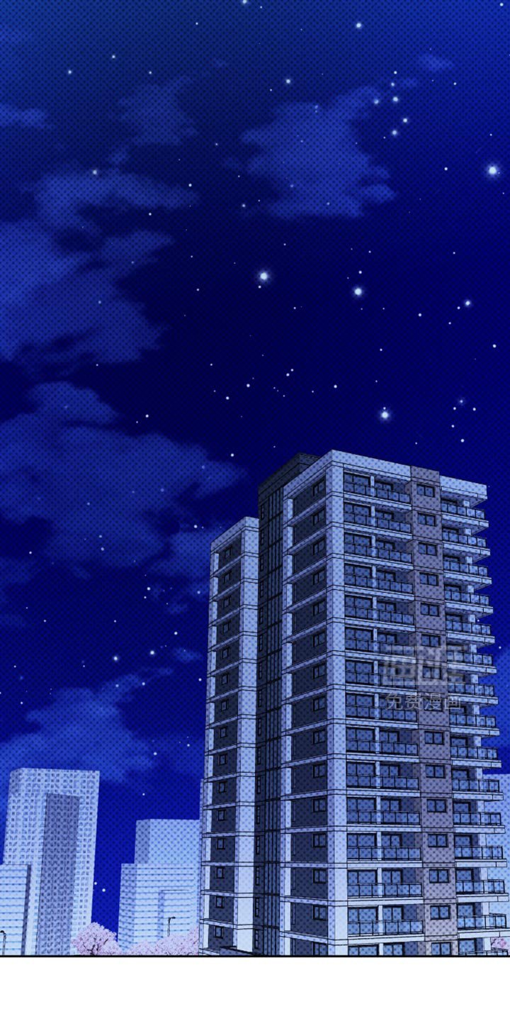 第74章：答复