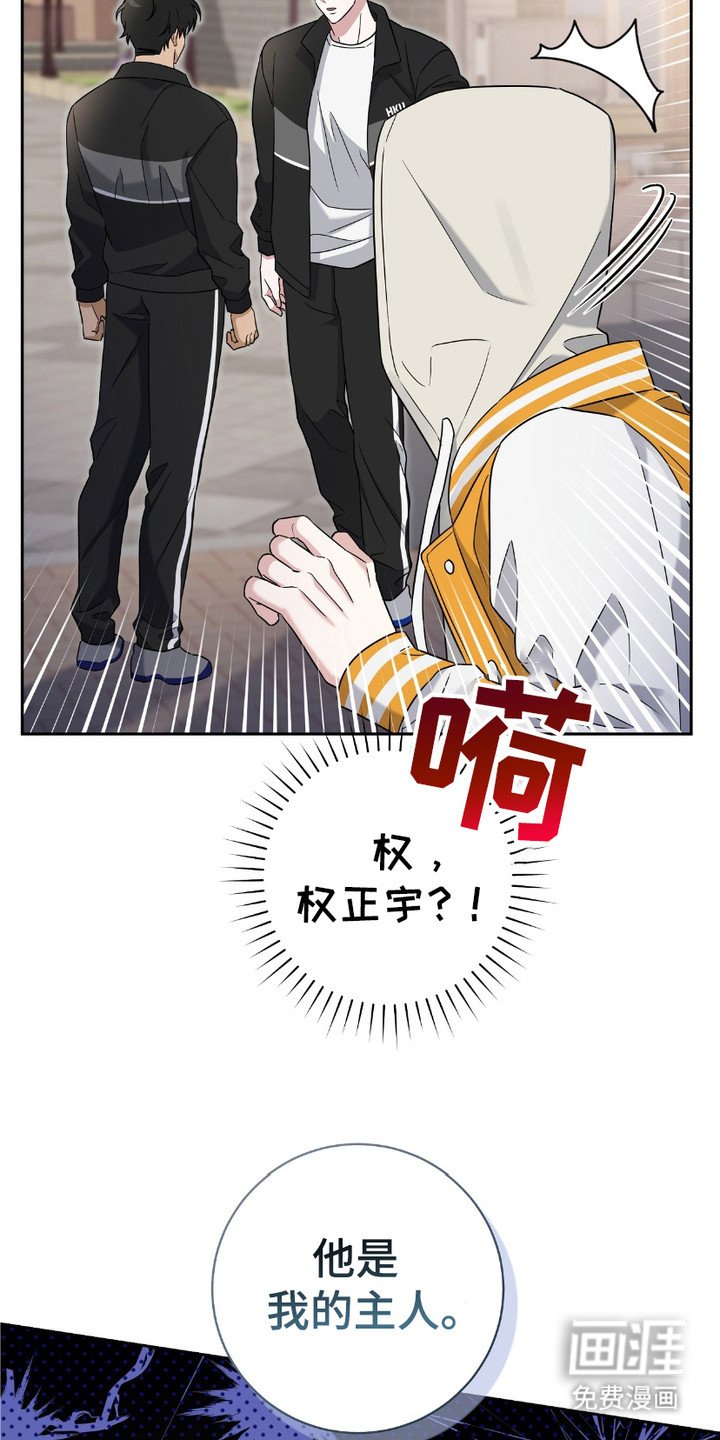 第9章：粉丝们