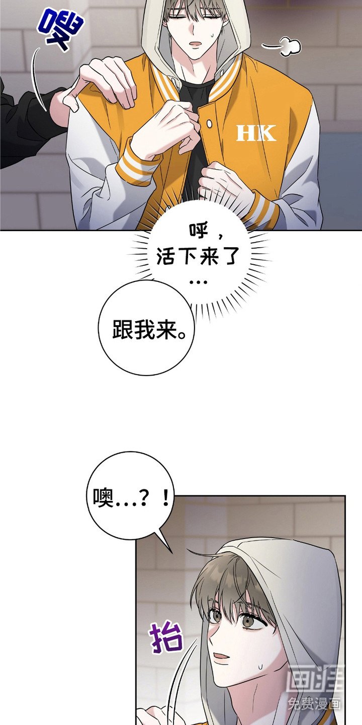 第9章：粉丝们