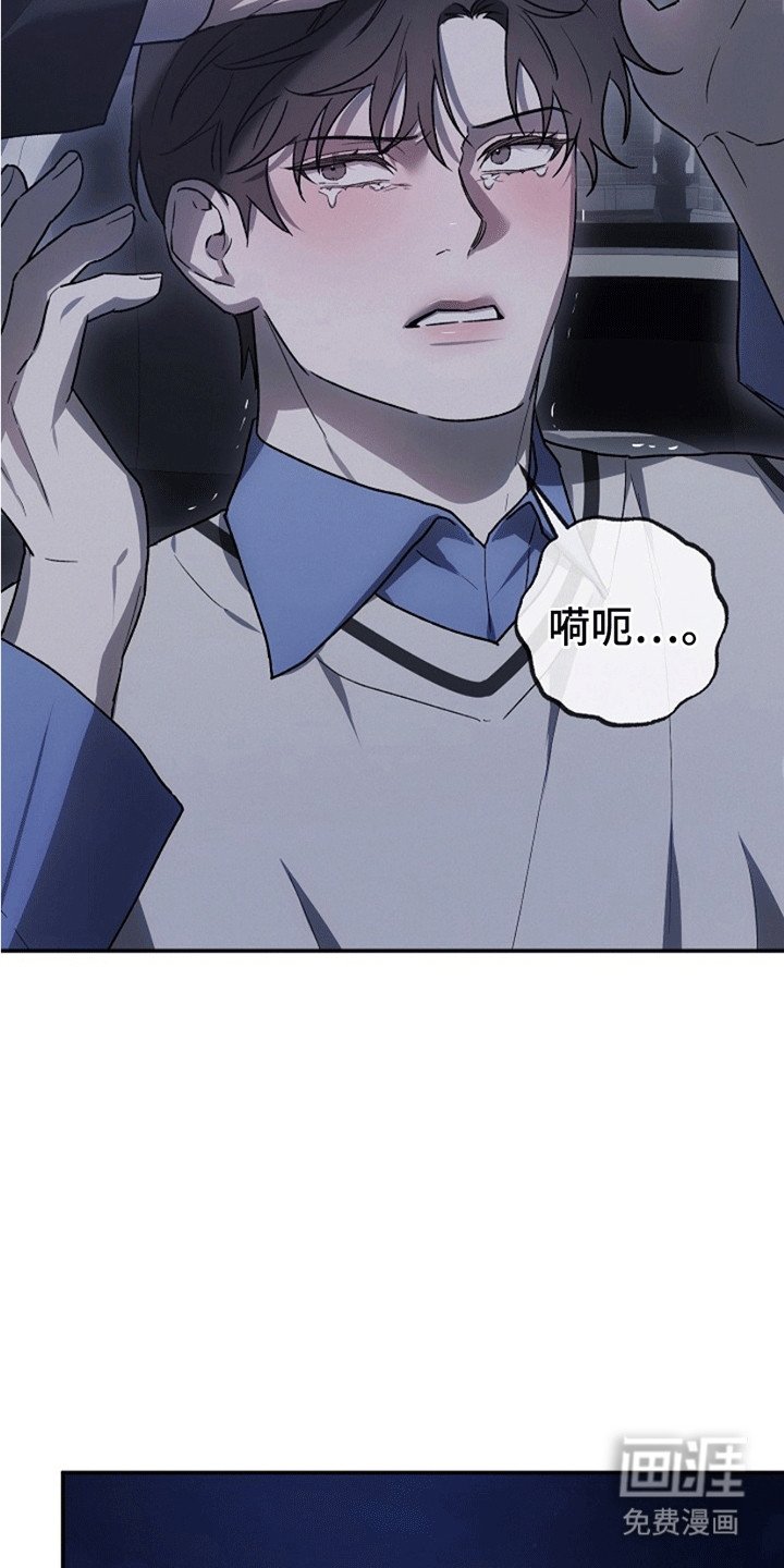 第13章：反感