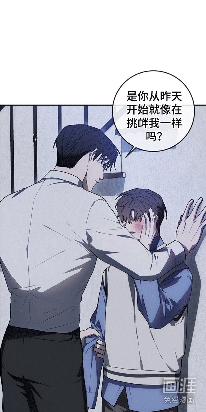 第14章：强行压制