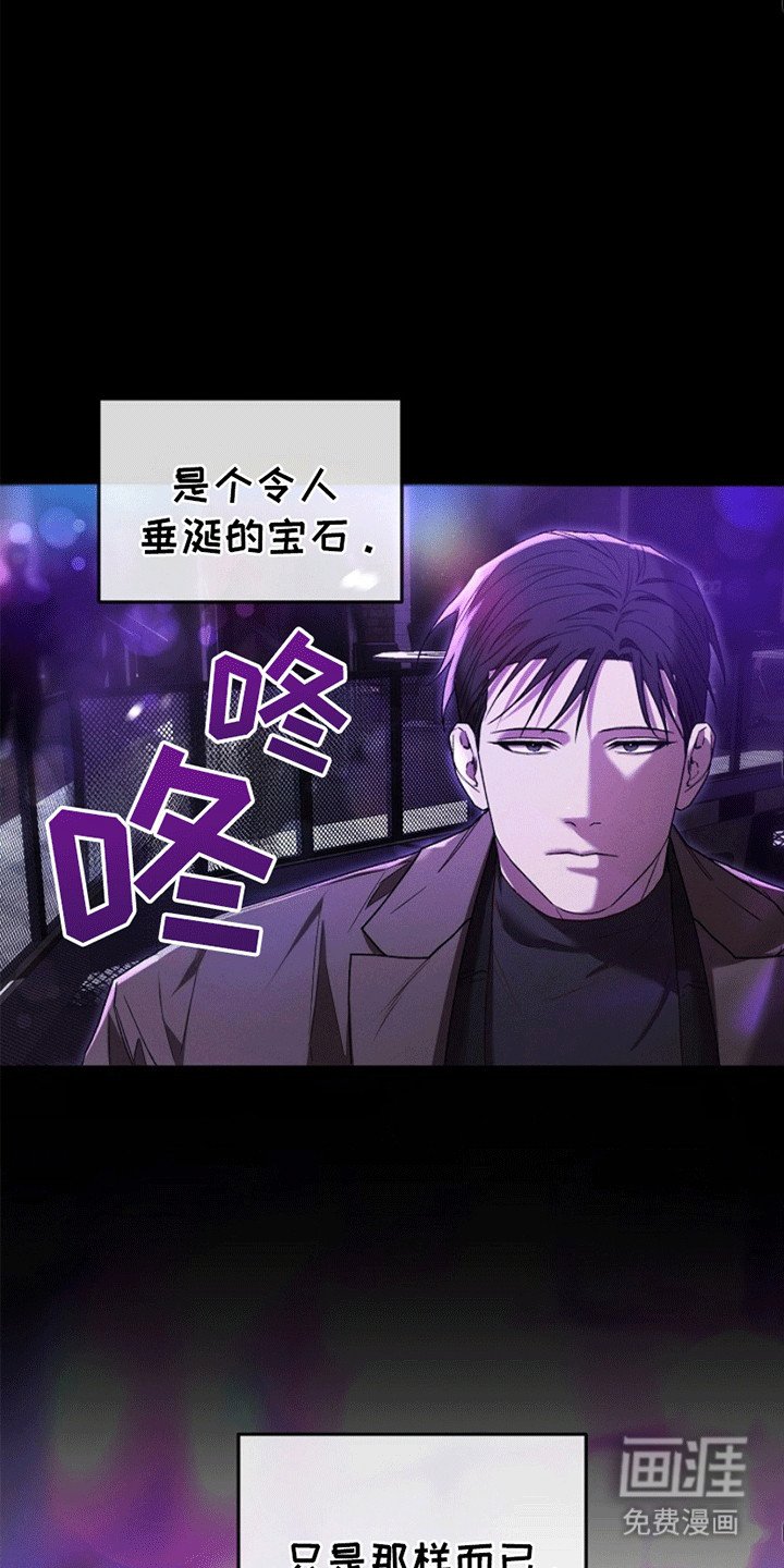 第2章：令人垂涎的宝石