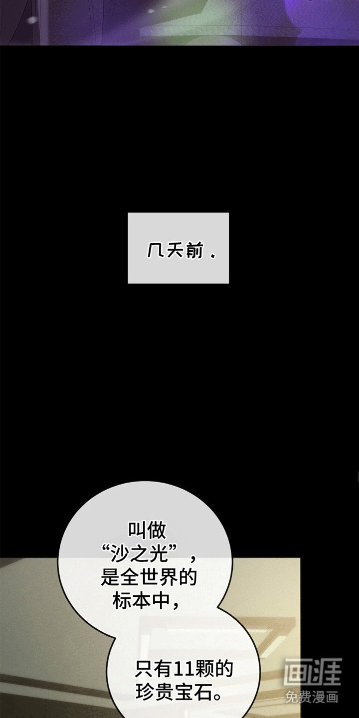 第2章：令人垂涎的宝石