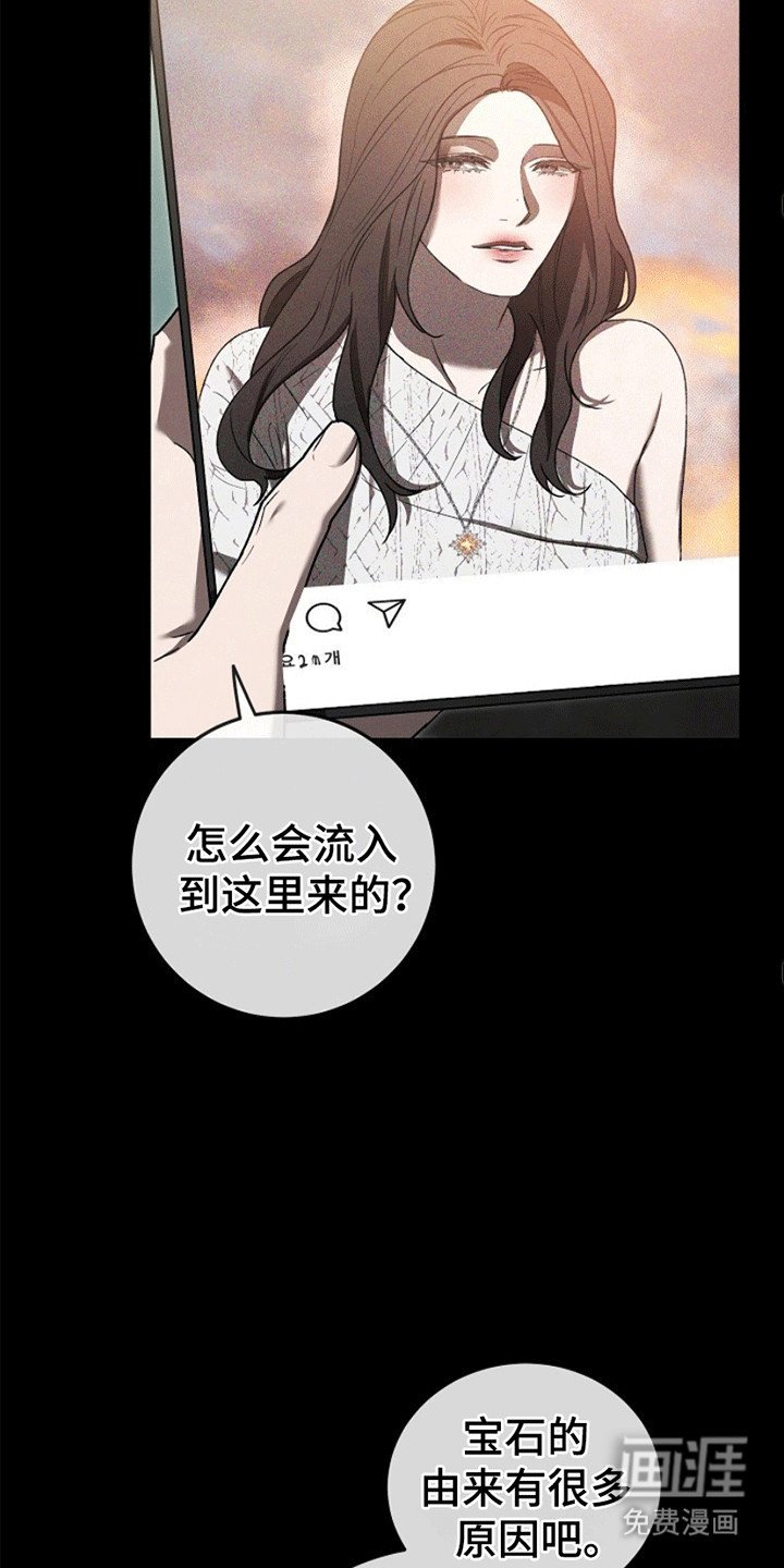 第2章：令人垂涎的宝石