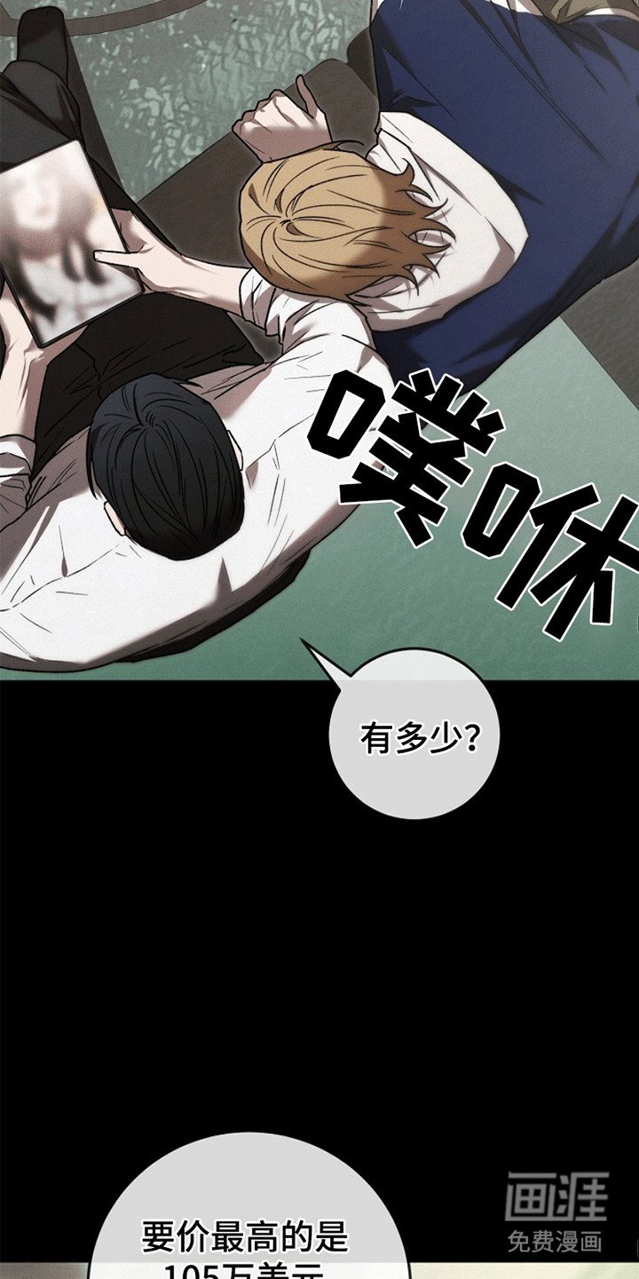 第2章：令人垂涎的宝石