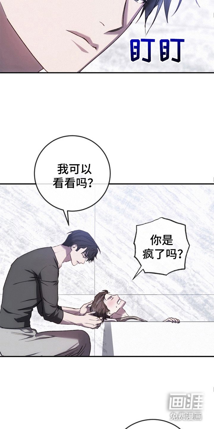 第22章：赠送服务