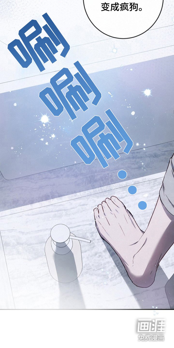 第22章：赠送服务