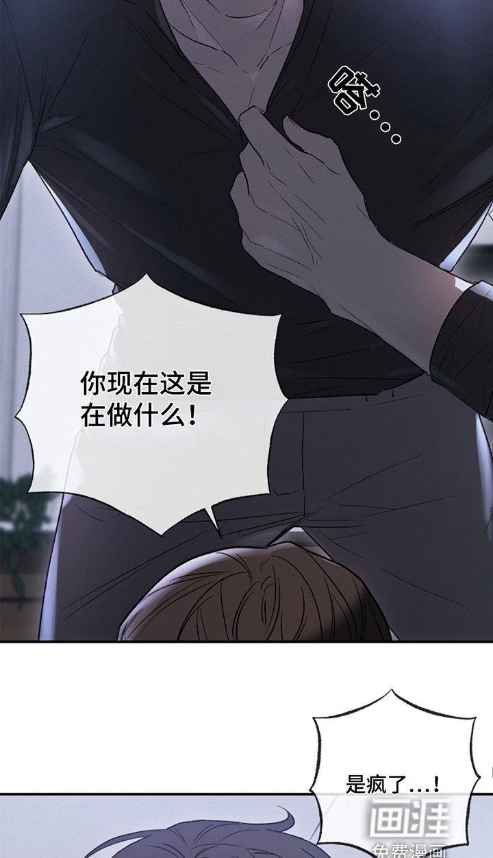 第28章：放开我