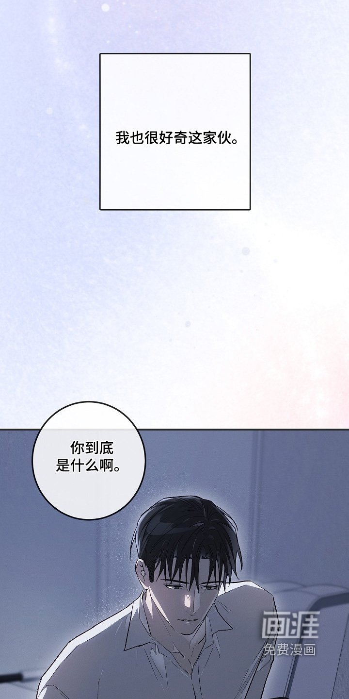第39章：到底是谁