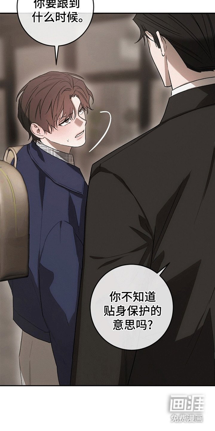 第6章：嘴硬的小少爷